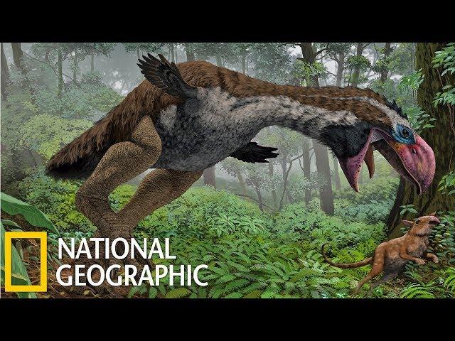 Доисторические хищники: Хищные птицы-ящеры (National Geographic HD)