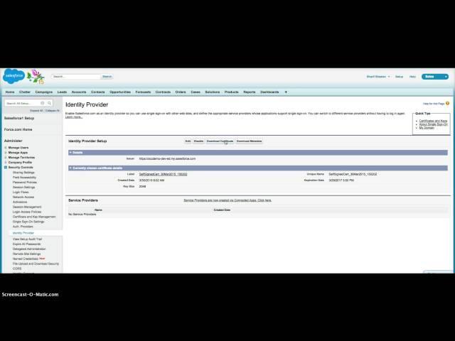 Setting up Salesforce as an Identity Provider