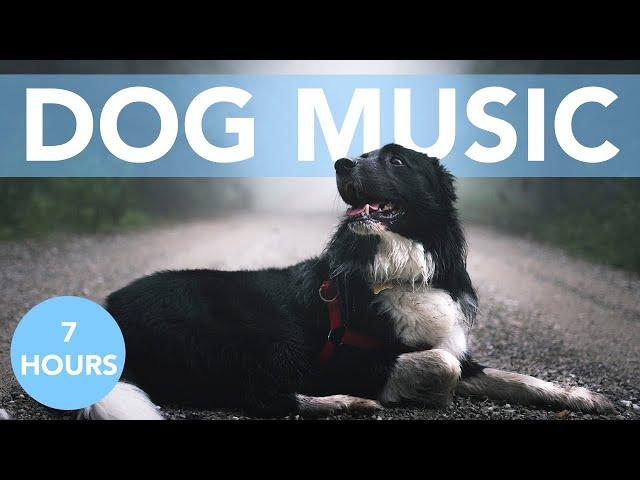 7 HOURS of Thunderstorm Music for Anxious Dogs!