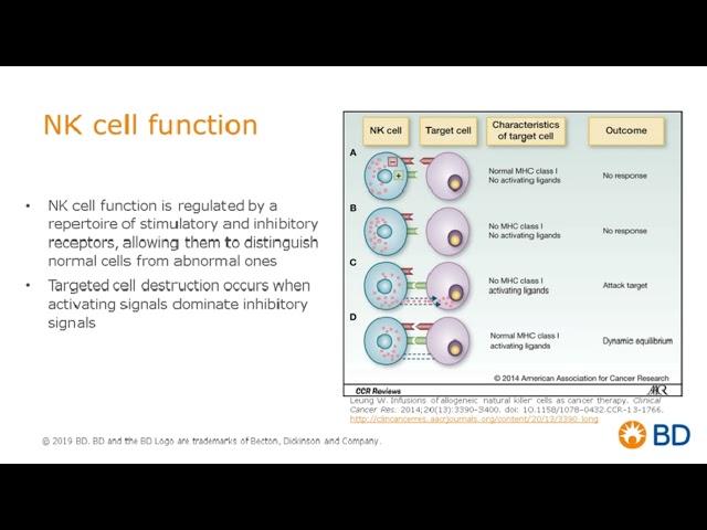 Evaluating expression patterns of multiple inhibitory and stimulatory receptors on NK cells
