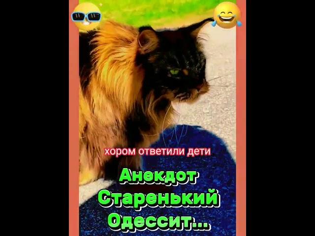 Анекдот Старенький Одессит. #анекдоты #котики #шутки #юмор #мемы #приколы #одесса