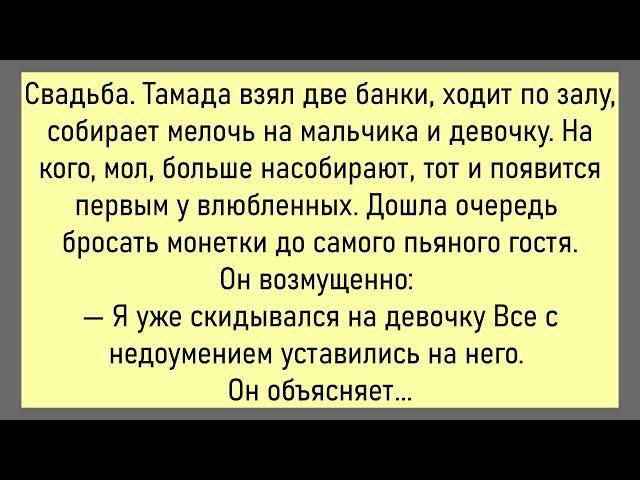 Тётя Сима Зашла В Гастроном...Подборка Весёлых Анекдотов,Для Супер Настроения!