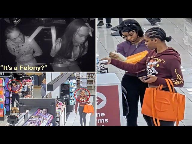 Busted thieves baffled by new laws in California that make shoplifting a felony, police video shows