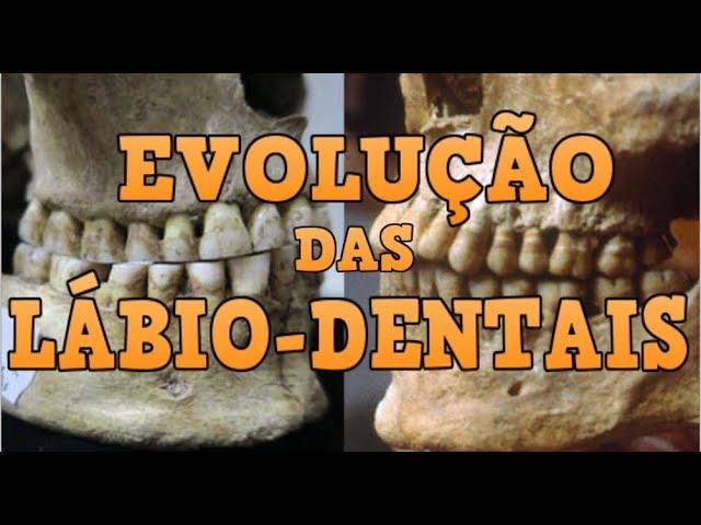 Linguística (Fonética) - Evolução das Consoantes Lábio-Dentais e a Revolução Agrícola