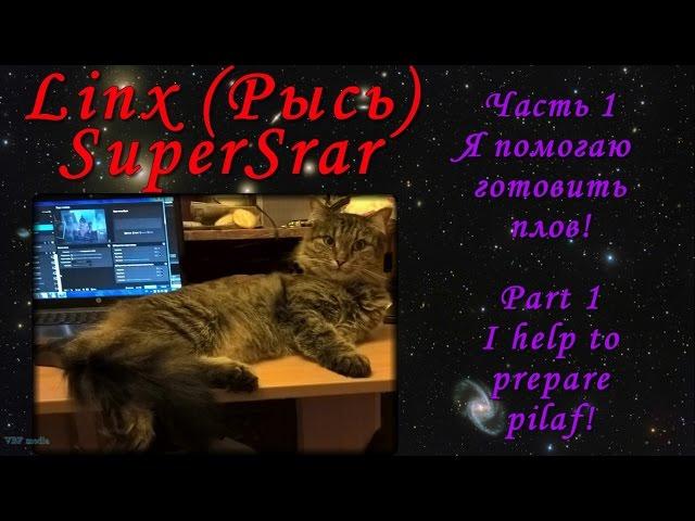 Я помогаю готовить плов / Cat Lynx helps to cook rice