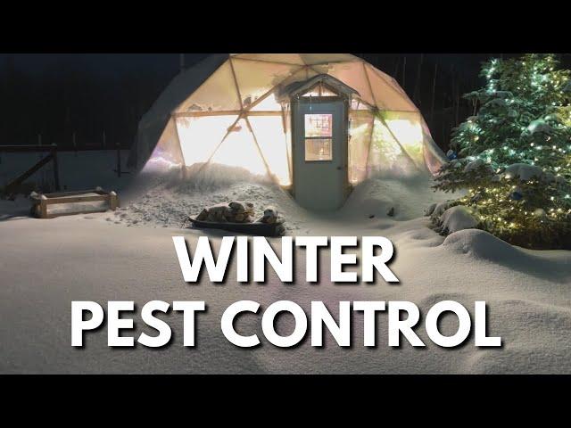 Winter Pests Control | Geodesic Dome Greenhouse in Alberta, Canada