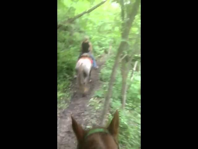 Peppy Trail riding