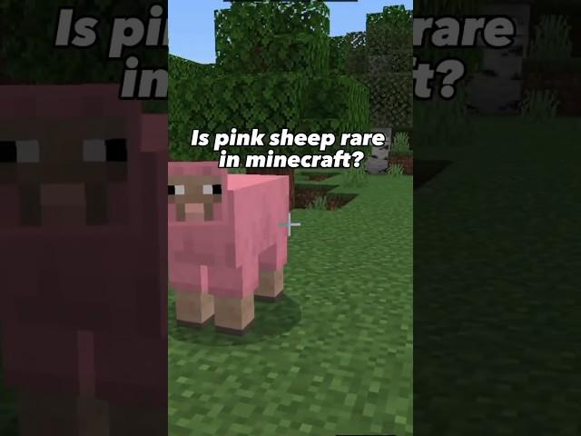 Is pink sheep rare in minecraft how to create it #cpgyt   #minecraft