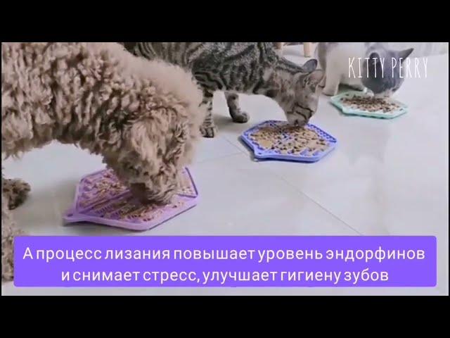 Миска для медленного поедания корма для собак и кошек