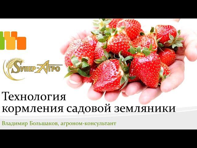 Технология кормления садовой земляники - семинар в Белореченске