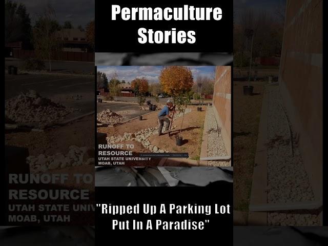 Ripped Up A Parking Lot, Put In A Paradise
