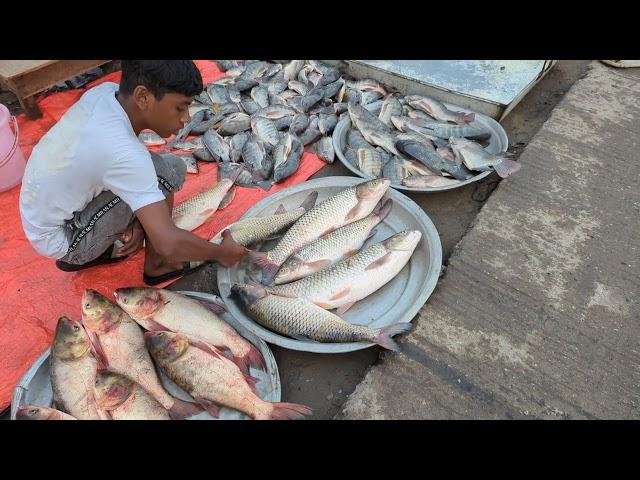 Amazing Fish Market Kaliakoir Bazar Gazipur