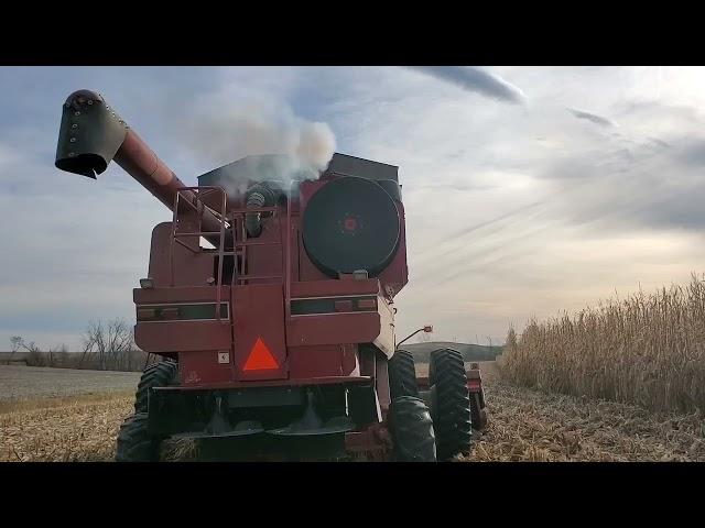 Case IH 2388 cold start 8.3 Cummins