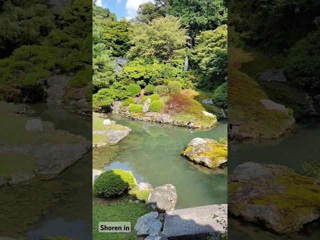 Kyoto. Shoren In garden