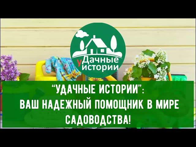  уДачные истории: Секреты & Советы 