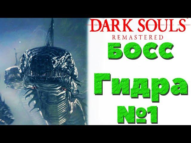 Dark Souls Remastered - Мини-Босс Гидра на Озере Темных корней.
