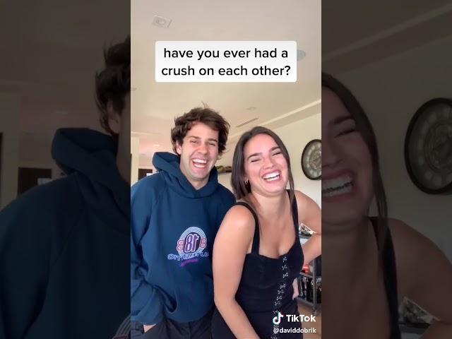 David dobrik girl housemate nope yup are any of these lies Tik Tok @daviddobrik