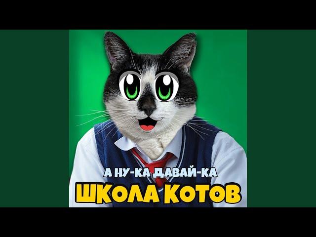 Школа котов