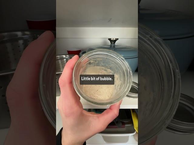 Simplifying the Sourdough Starter - Day 2