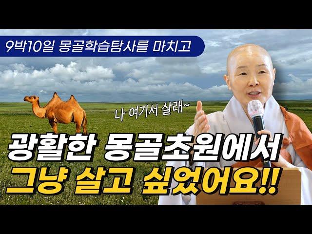 10일 간의 몽골 학습 탐사를 마친 정목 스님의 감동적인 여행담 | 몽골제국과 고려의 역사 | 중앙아시아를 지배했던 유목민족 이야기 | 정각사 일요법회