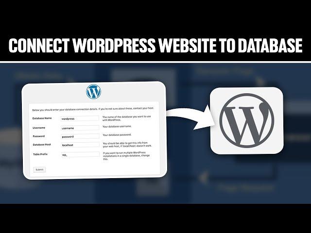 How To Connect WordPress Website To a Database 2024! (Full Tutorial)