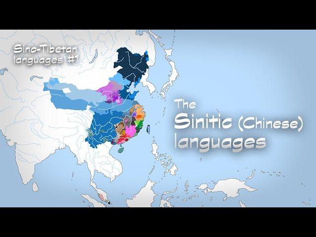 The History of the Sinitic (Chinese) Languages