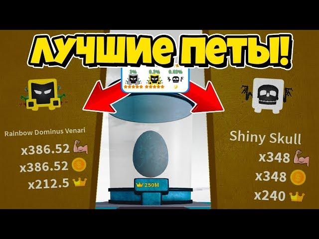 САМЫЕ ЛУЧШИЕ ПЕТЫ В ИСТОРИИ СИМУЛЯТОРА ЛАЗЕРНОГО КАЧКА! SABER SIMULATOR ROBLOX