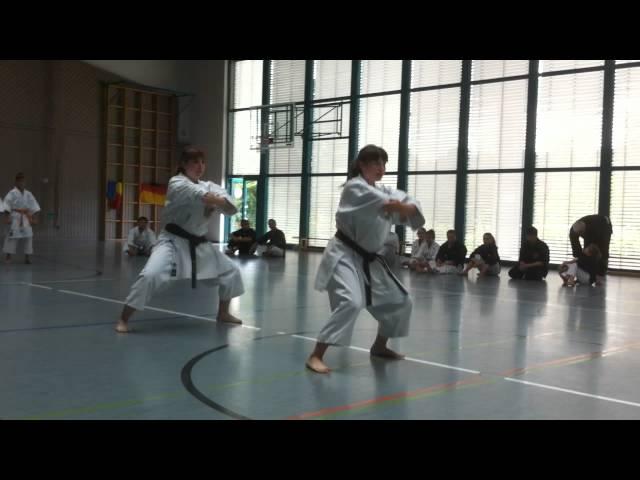 Shodan Arad - Kata Sincron Bianca Cristina - Seminar Godai-Ryu - Germania 2012