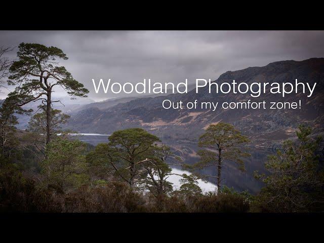 Woodland photography in Torridon - Stepping out of my comfort zone