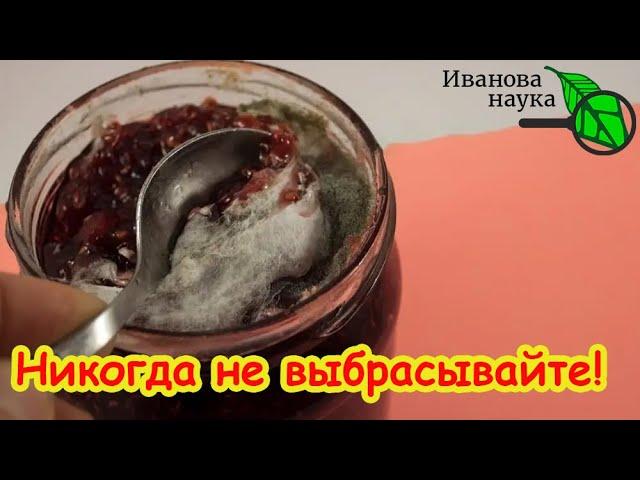 ПЛЕСЕНЬ НА ПРОДУКТАХ: ОПАСНАЯ, БЕЗОПАСНАЯ и ПОЛЕЗНАЯ. Какую плесень надо бояться.