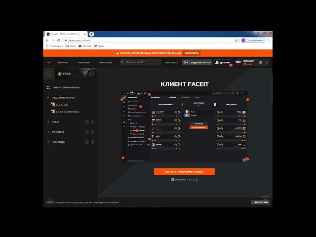 Как устранить ошибку при установки Faceit антечит