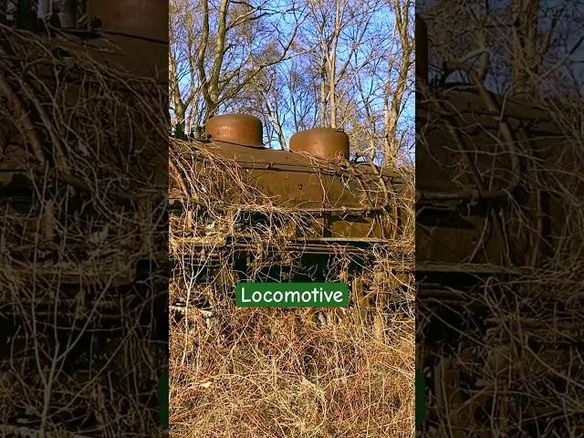 Abandoned 1920s Train In The Woods #train #abandoned #roadside #olddays #antique