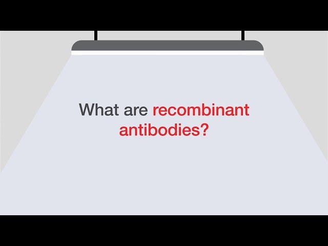 Introduction to Recombinant Antibodies