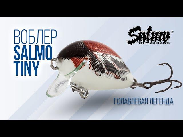 Обзор воблера крэнка Salmo Tiny. Всесезонный охотник на голавля.