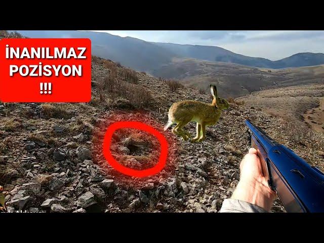 TAVŞAN KEKLİK AVI (TAVŞAN KALKMASA ÜSTÜNE BASACAKTIM) HARE HUNTİNG охота на кроликов #harehunting