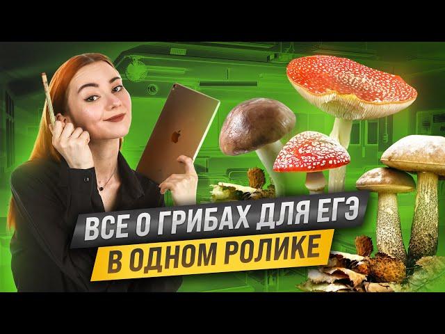 Грибы: вся тема для ЕГЭ по биологии (задания 9,10 и 11) | Умскул