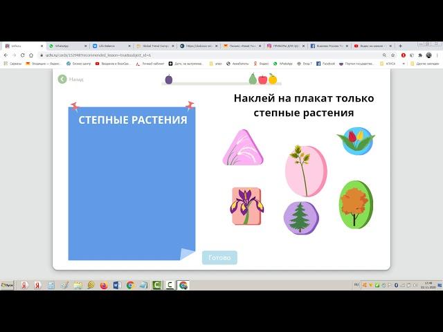 4 кл особенности зоны степей Растения и животные степей Зона степей Природа География Окружающий мир