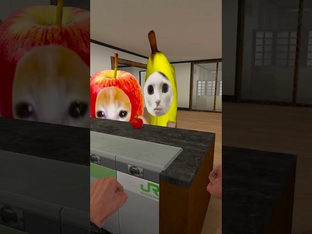 HELP Bananacat with Food #gmod 