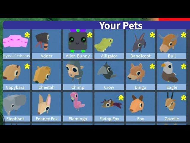 How to find all 55 Pets in Find a Pet | Roblox