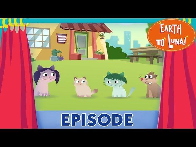 Earth To Luna! A Cat’s Whiskers - Full Episode 29 - What are cat whiskers for?