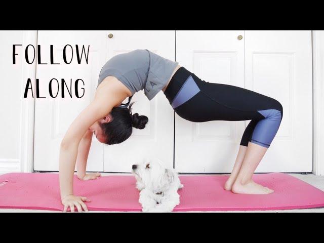 Beginner's Back flexibility stretches