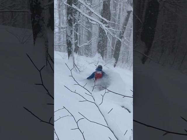 Мы раскатаем Шерегеш #горнолыжныйинструктор #шерегеш2024 #краснаяполяна #эльбрус