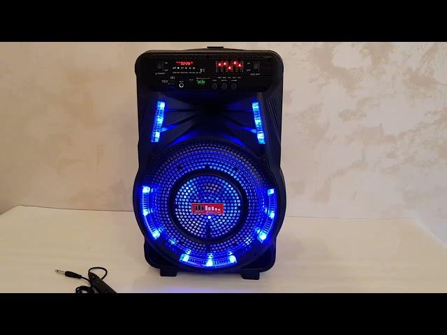 Колонка аккумуляторная с микрофоном Sky Sound SS-7373