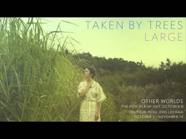 Taken By Trees - "Large" (Official Audio)