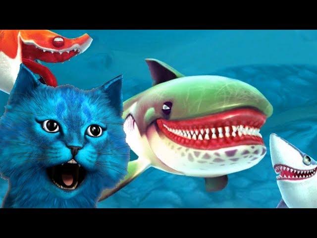 Я СТАЛ АКУЛОЙ | СИМУЛЯТОР АКУЛЫ SHARK SIMULATOR | КОТЁНОК ЛАЙК