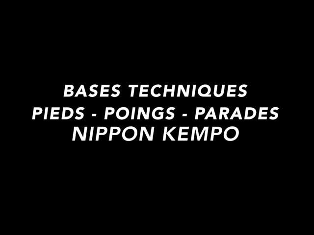 BASES PIEDS POINGS PARADES NIPPON KEMPO