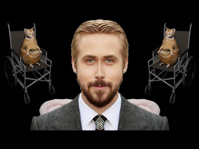 Cat falls off wheelchair, Ryan Gosling gets pissed