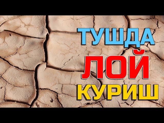 Туш табири - Тушда Лой куриш