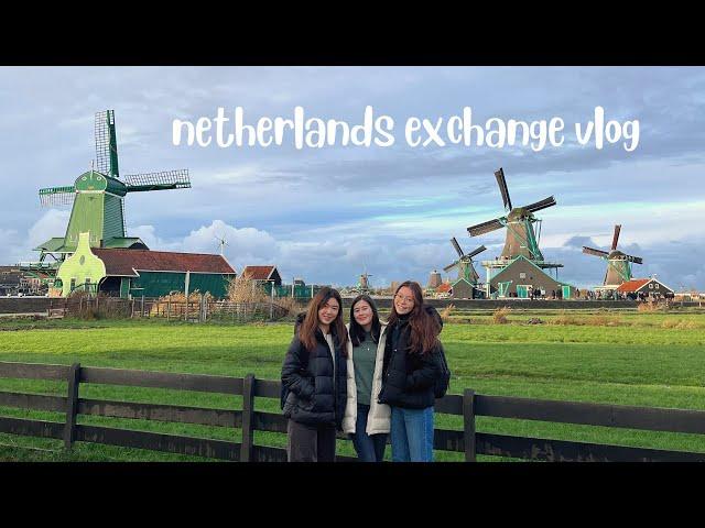 my semester exchange at utrecht, the netherlands