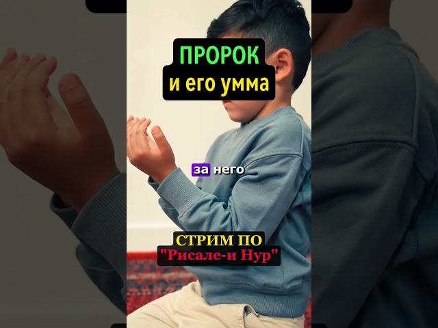ПРОРОК И ЕГО УММА | #ислам #иман #религия #коран #рисалеинур #сунна #пророкМухаммад #мавлид